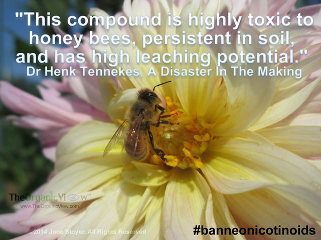 This compound is highly toxic to honey bees, persistent in soil, and has high leaching potential. Dr Henk Tennekes
