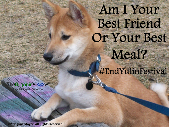 Am I Your Best Friend Or Your Best Meal