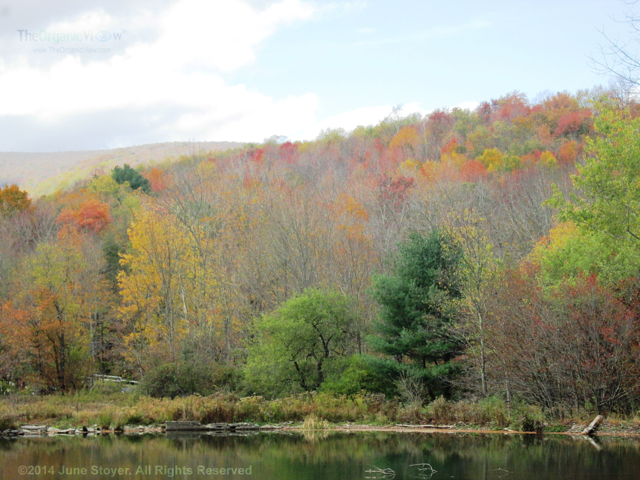 Autumn In The Catskills
