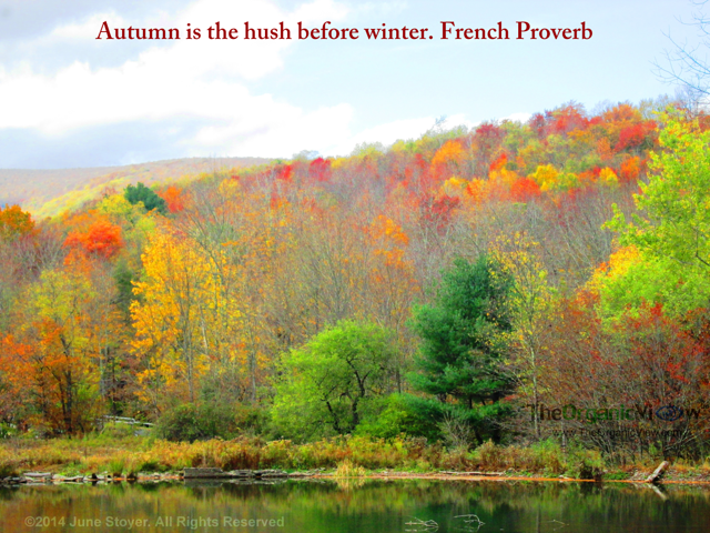 Autumn is the hush before winter. French Proverb