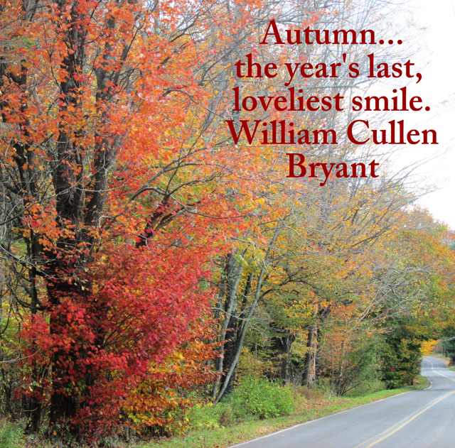 Autumn....the year's last, loveliest smile. William Cullen Bryant