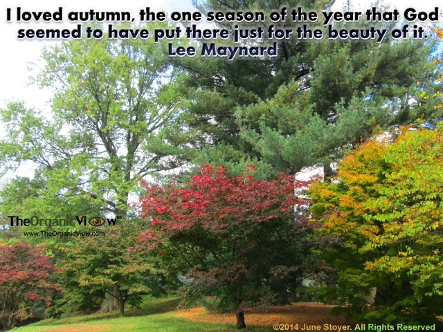 I loved autumn, the one season of the year that God seemed to have put there just for the beauty of it. Lee Maynard