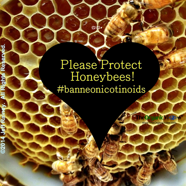 Please protect honeybees and ban neonicotinoids