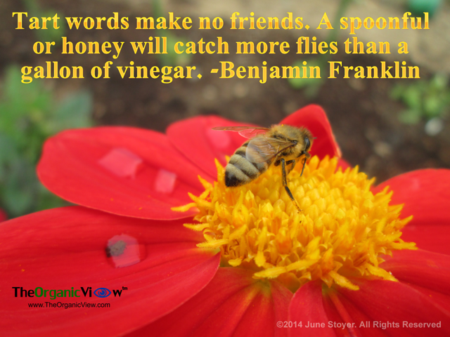 Tart words make no friends. A spoonful or honey will catch more flies than a gallon of vinegar Benjamin Franklin