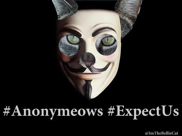 Anonymeows