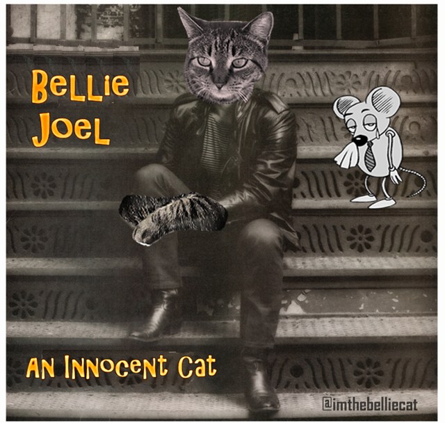 Bellie Joel An Innocent Cat