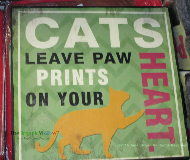 Cats leave paw prints on your heart