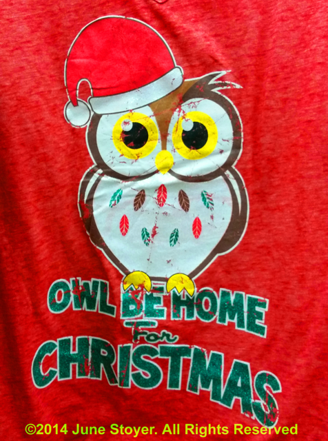 Owl Be Home For Christmas Photo By June Stoyer
