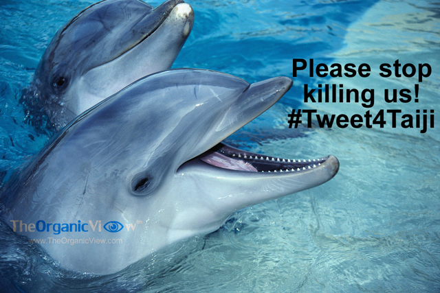 Please stop killing us! #Tweet4Taiji