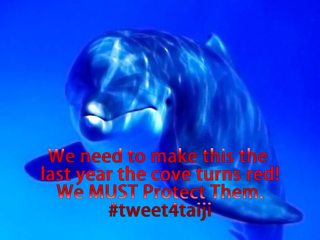 We need to make this the last year the cove is red