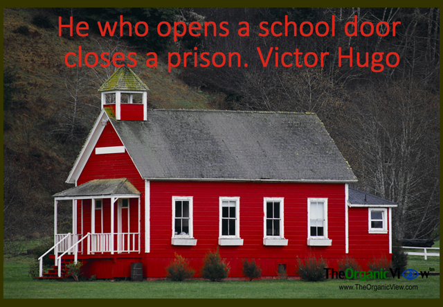He who opens a school door, closes a prison. Victor Hugo