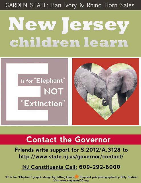 E is for Elephant not Extinction
