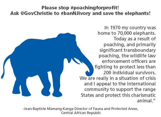 Please stop poaching for profit. Ask Gov Christie to ban NJ ivory & save elephants