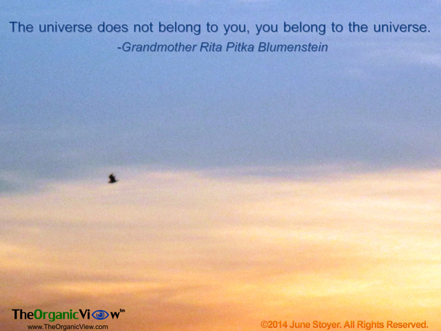 The universe does not belong to you, you belong to the universe