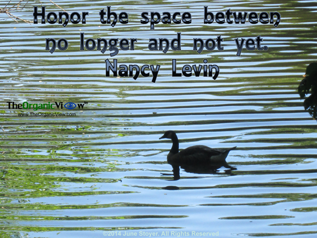 Honor the space between no longer and not yet.Nancy Levin