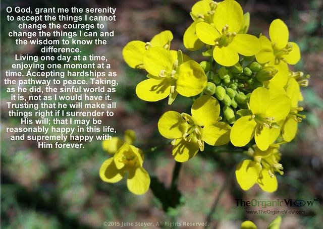 The Serenity Prayer