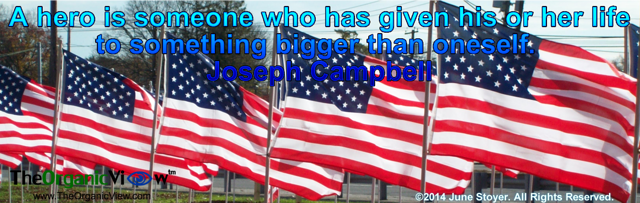 A hero is someone who has given his or her life to something bigger than oneself Joseph Campbell