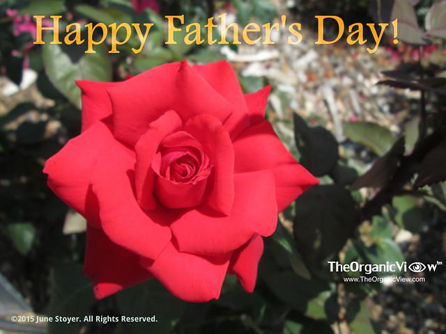 Happy Father's Day. Photo by June Stoyer