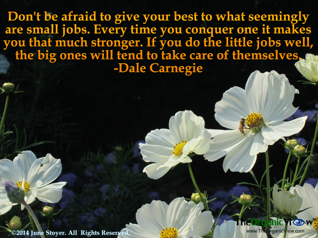 Dont be afraid to give your best to what seemingly are small jobs Dale Carnegie