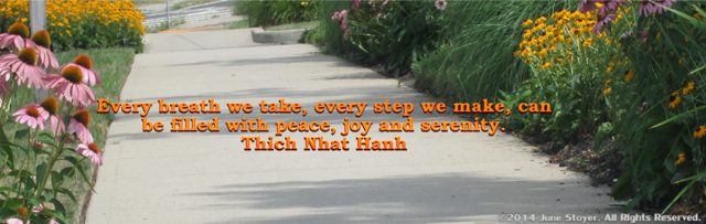 Every breath we take, every step we make, can be filled with peace, joy and serenity Thich Nhat Hanh