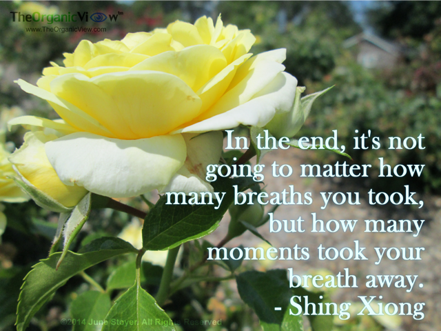 In the end, it's not going to matter how many breaths you took, but how many moments took your breath away. Shing Xiong