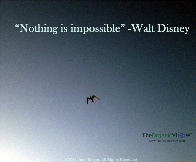 Nothing is impossible! -Walt Disney