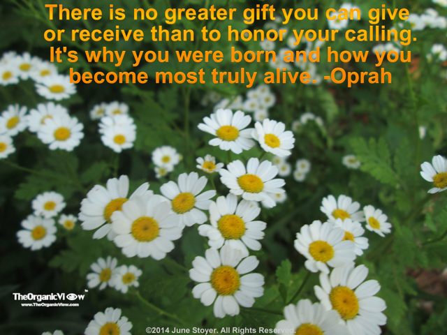 There is no greater gift you can give or receive than to honor your calling Oprah