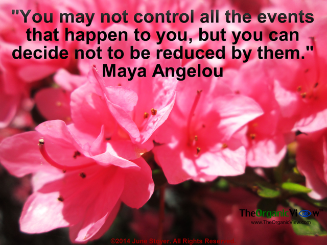 You may not control all the events that happen to you, but you can decide not to be reduced by them Maya Angelou