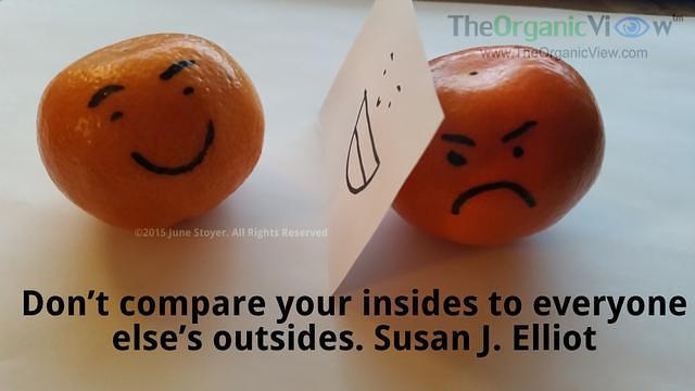 Don’t compare your insides to everyone else’s outsides. Susan J Elliot