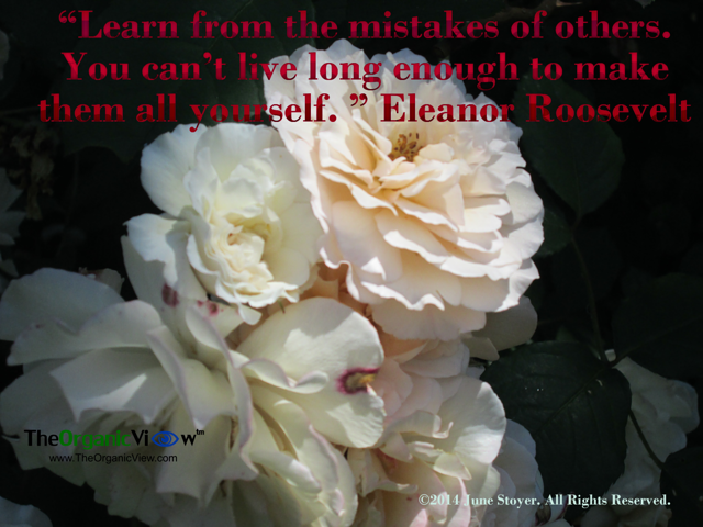 Learn from the mistakes of others. You can’t live long enough to make them all yourself