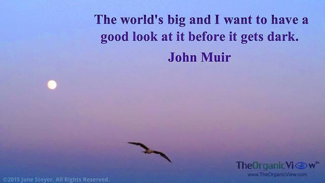 The world's big and I want to have a good look at it before it gets dark. John Muir