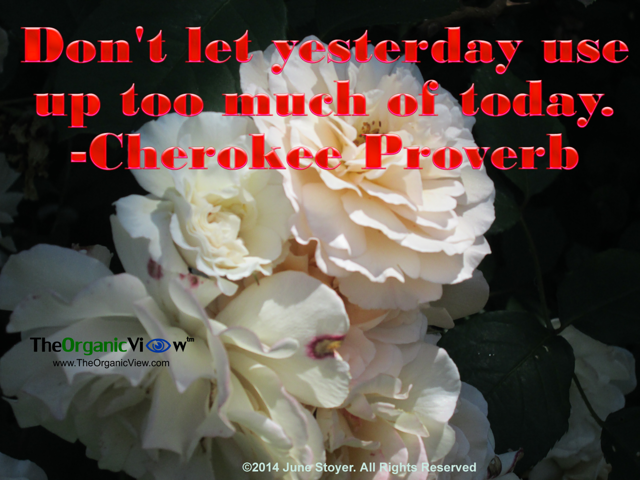 Don't let yesterday use up too much of today. Cherokee