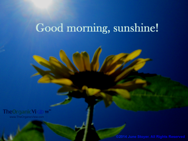 Good morning, sunshine