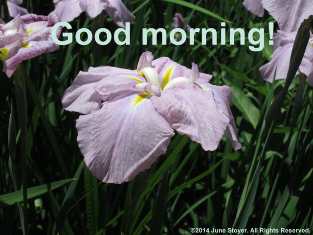 Good morning