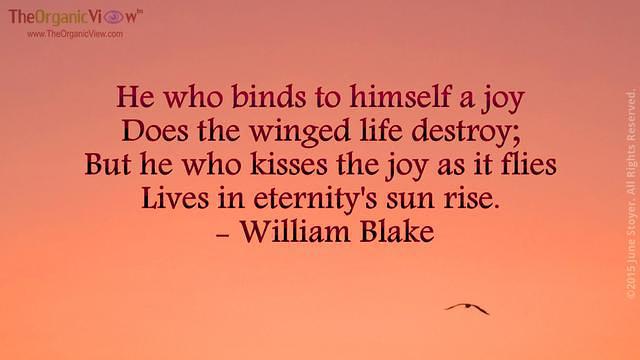 He who binds to himself a joy Does the winged life destroy