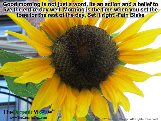 Morning is the time when you set the tone for the rest of the day. Set it right! Fain Blake