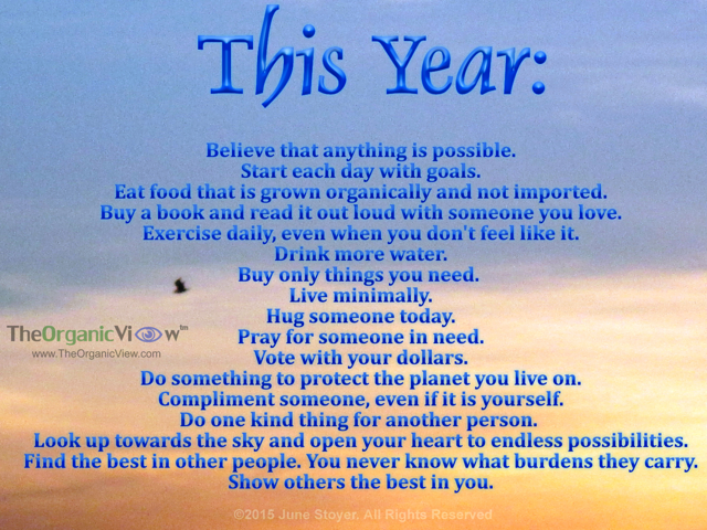 Things everyone should do this year