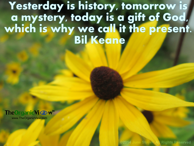 Yesterday is history, tomorrow is a mystery, today is a gift of God, which is why we call it the present. Bil Keane