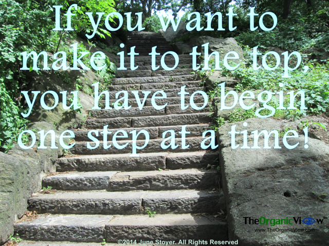 If you want to make it to the top, you have to begin one step at a time