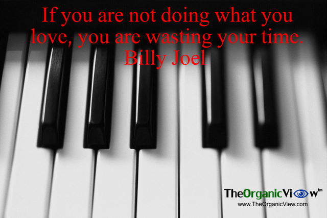 If you are not doing what you love, you are wasting your time. Billy Joel