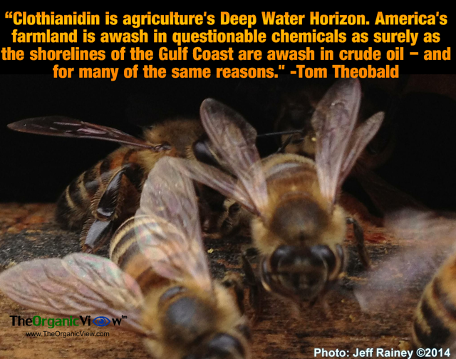 Clothianidin is agricultures Deep Water Horizon Tom Theobald