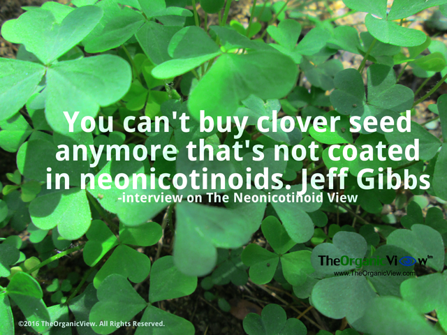 You can't buy clover seed anymore that's not coated in neonicotinoids