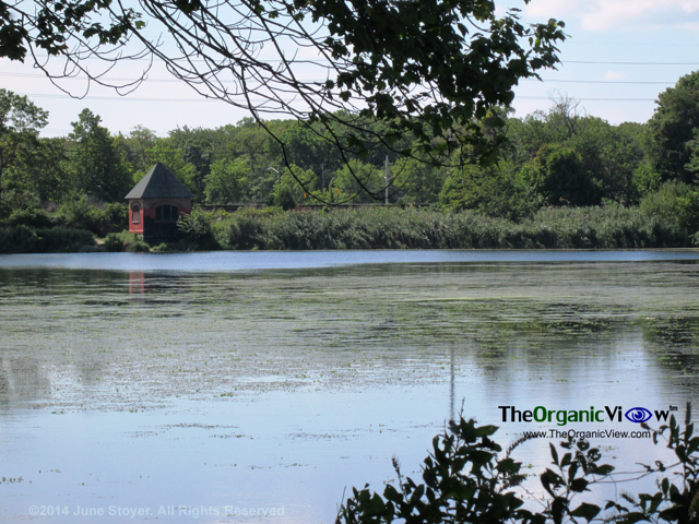 Massapequa Preserve waterfront