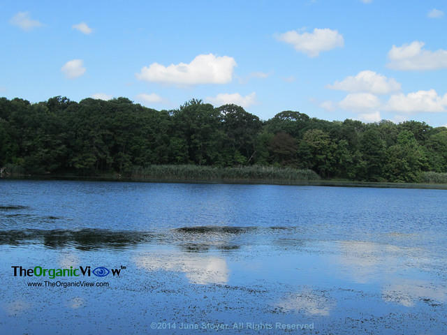 Massapequa Preserve