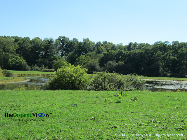 Old Bethpage Village Restoration