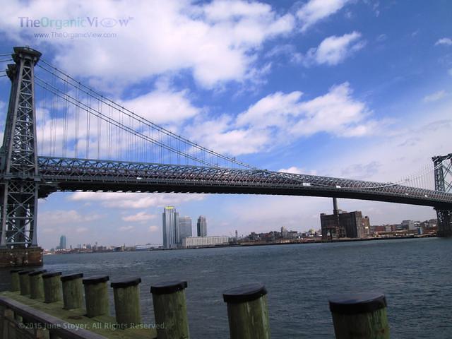 Williamsburg Bridge in NYC waterfront view by June Stoyer