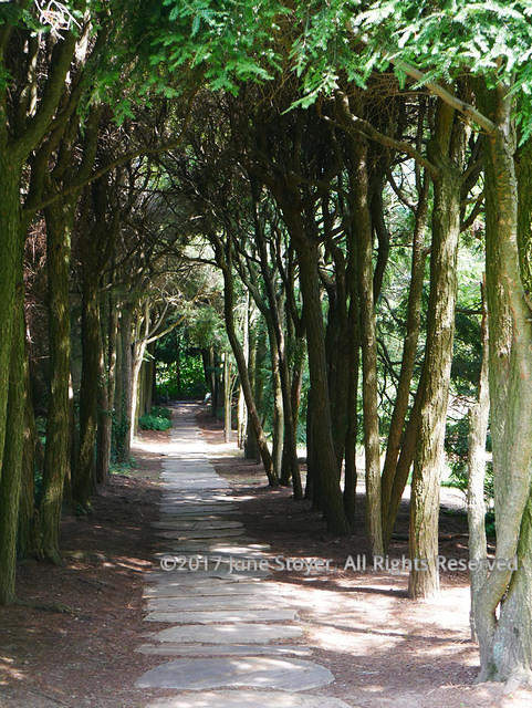 The Ghost Walk At Old Westbury Gardens