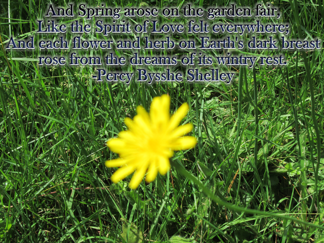 And Spring arose on the garden fair-Percy Bysshe Shelley
