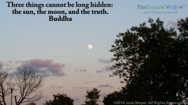 Three things cannot be long hidden the sun, the moon, and the truth Buddha