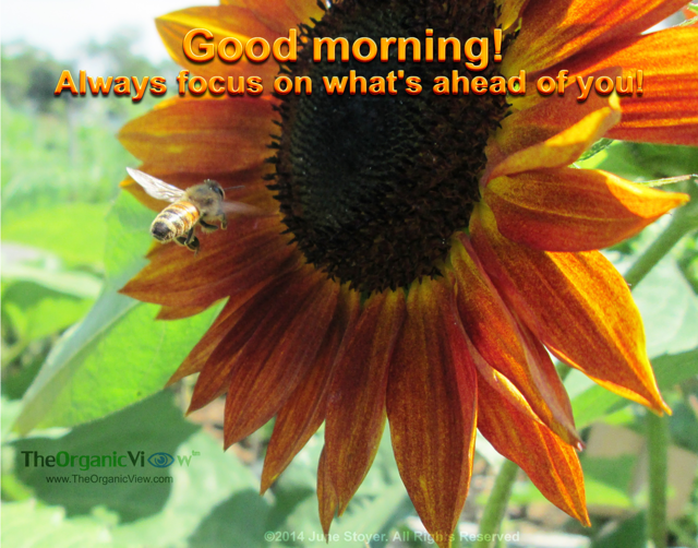 Good morning! Always focus on what's ahead of you!